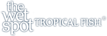 The Wet Spot Tropical Fish logo
