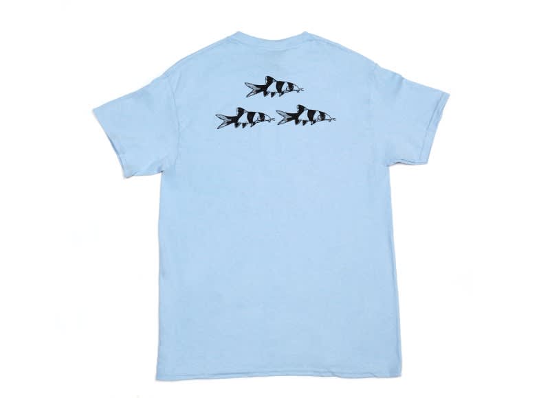 The Wet Spot Clown Loach Shirt - Tropical Freshwater Fish For Sale ...